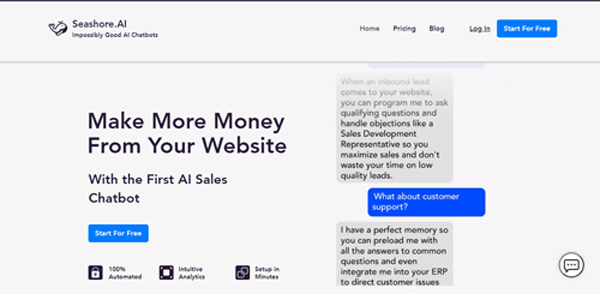 www.seashore.ai | Make More Money From Your Website